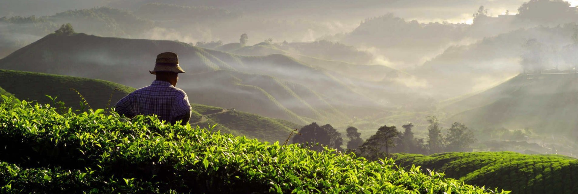 Sostenibilità per i produttori di caffè Brasilmoka